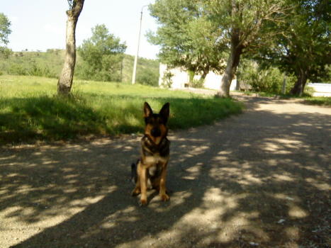 DSC00220.JPG