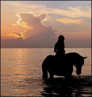 HorseWoman.jpg