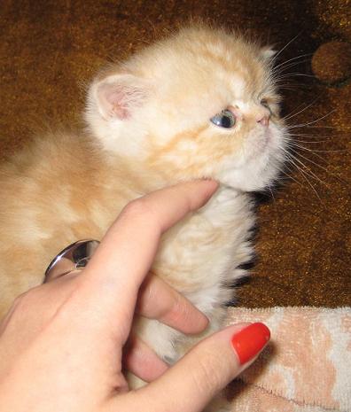 Picture_106.jpg