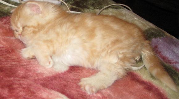 Picture_120.jpg