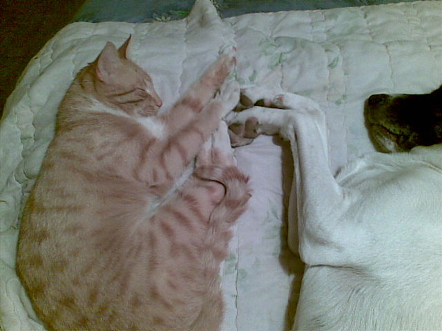 28082008_009_.jpg