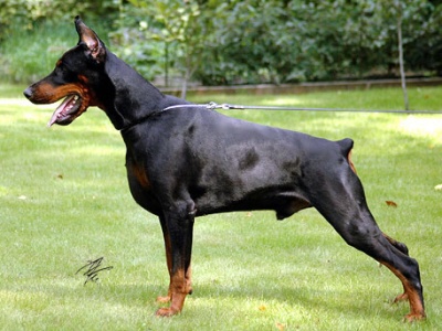 img00001.jpg