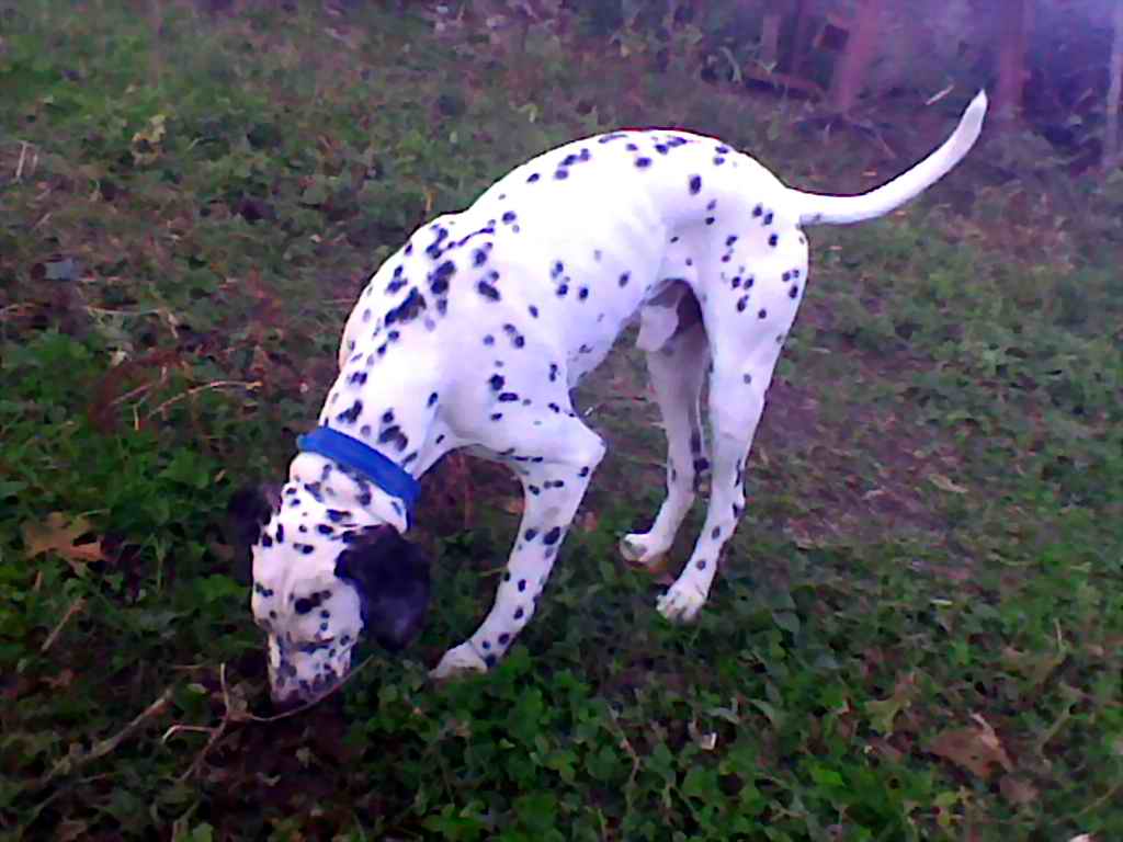 Image000_.jpg
