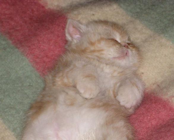 Picture_205.jpg