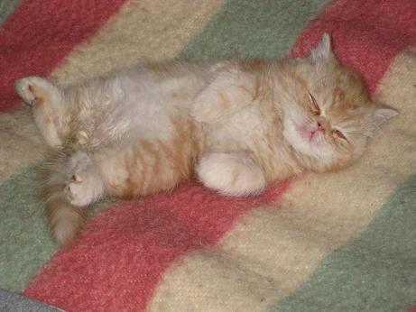 Picture_202.jpg
