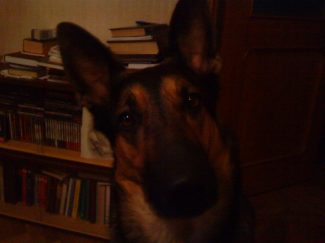 DSC02210.JPG