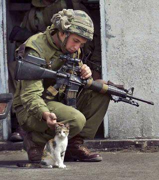 SoldierWithCat.jpg