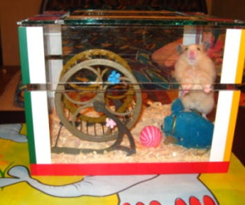 Picture_544.jpg