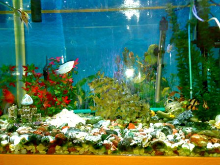 021020081070.jpg