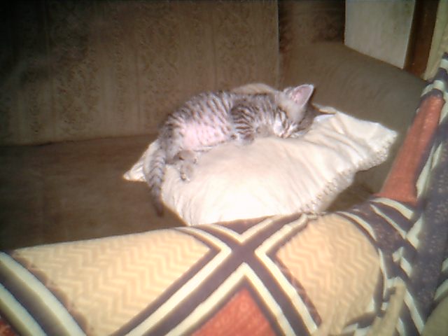 0818_003135X.jpg