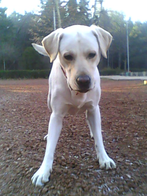 IMG0012A.jpg