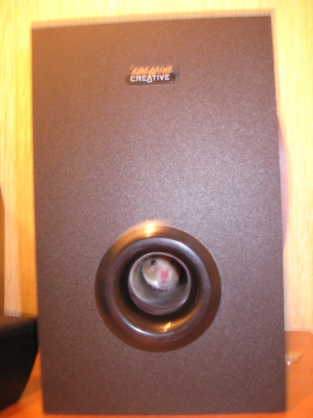 Picture_134.jpg