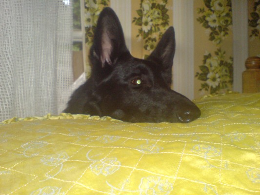 DSC00001.JPG