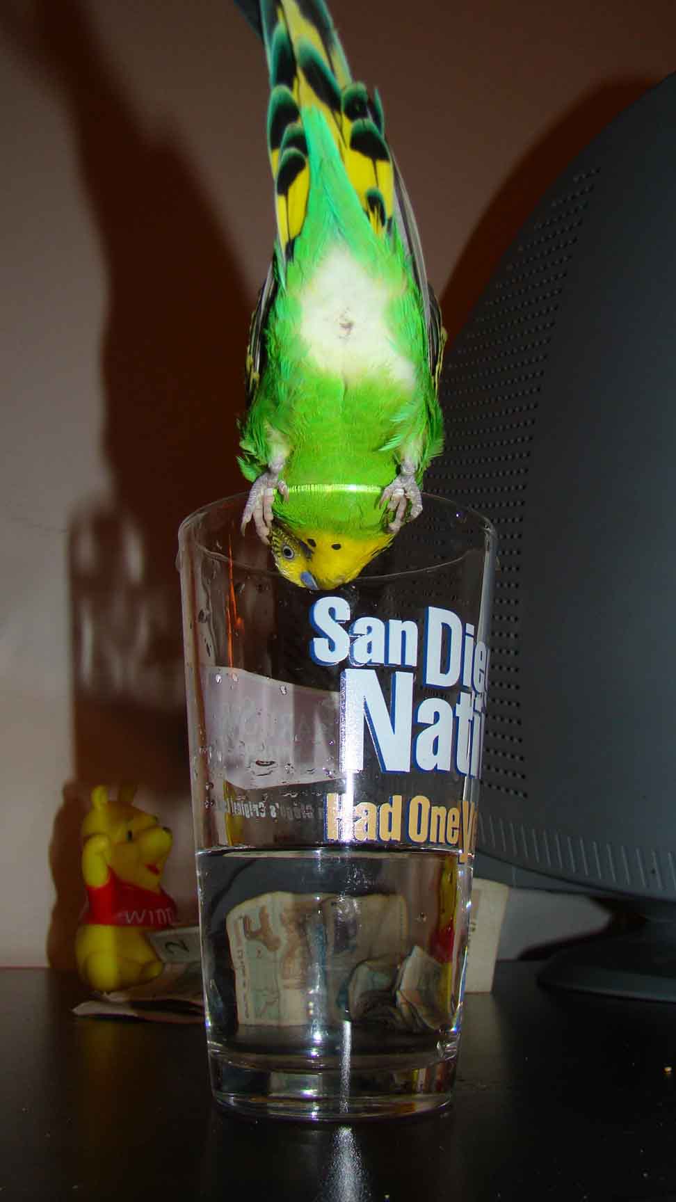 DSC00267.jpg
