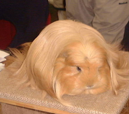 g2_28.jpg