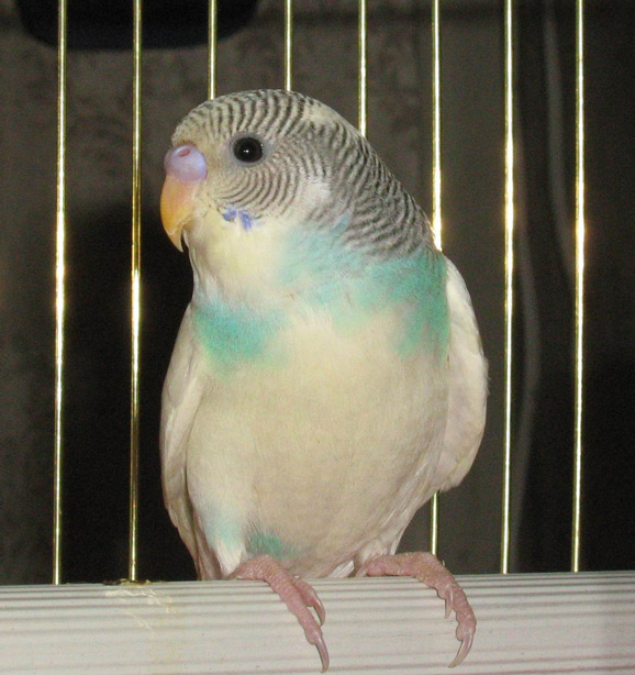 1_tuto_001.jpg