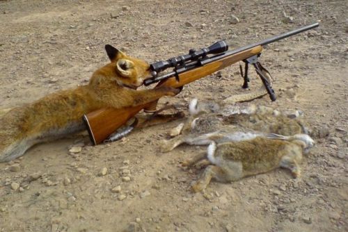 hunting.jpg