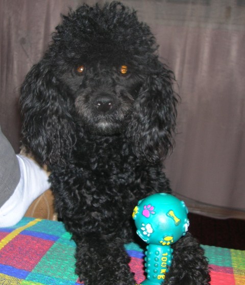 DSCN0871.JPG