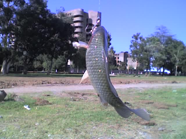 23_08_06_1657.jpg