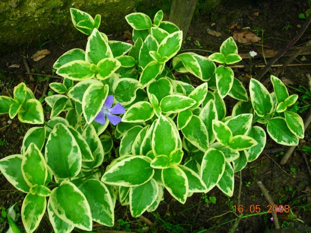 DSCN39042.jpg