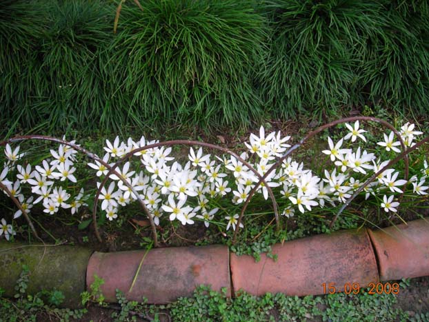 DSCN5634.jpg