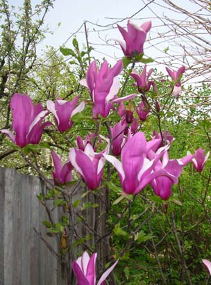 DSCN15897.jpg