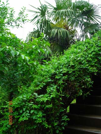 DSCN3115.jpg