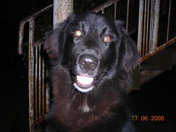 DSCN3850.jpg