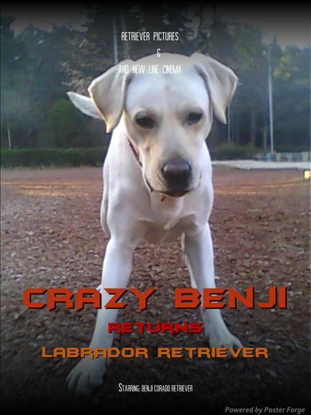 MoviePoster1.jpg