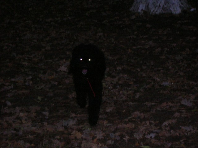 DSCN2298.JPG