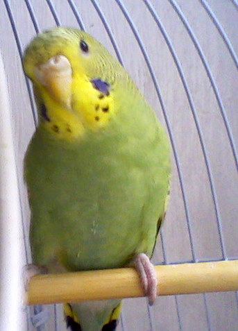 Photo_001.jpg