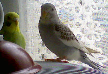 Photo_004.jpg