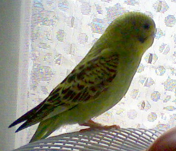 Photo_003.jpg