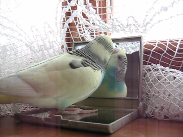 MVI_0315.jpg