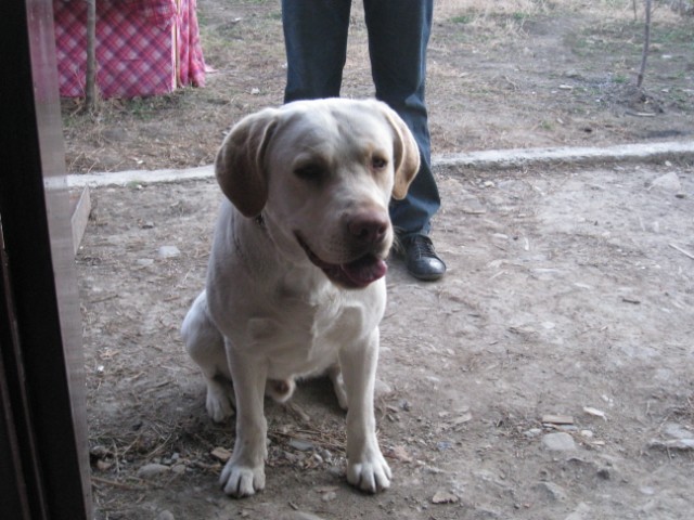 Picture_050.jpg