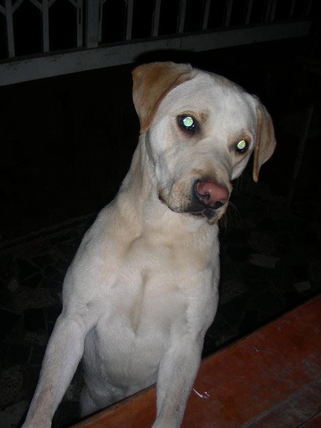 DSCN5850.JPG
