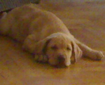 120920081315_001.jpg