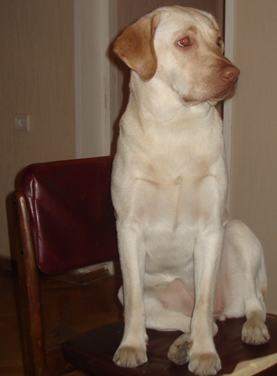 DSC08489.JPG