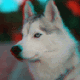 av_6355.gif