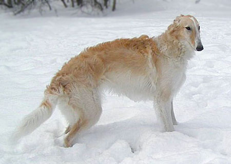 diva_09.jpg