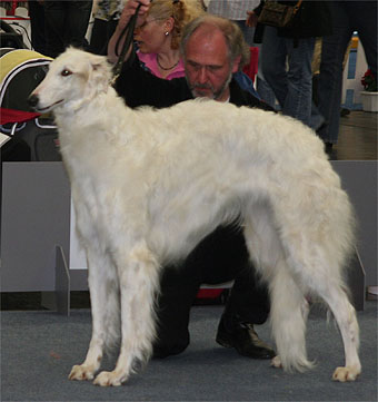 artemisa_mierzalosc_borsoi_es08.jpg