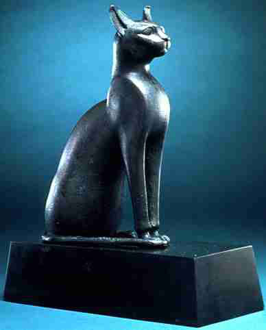 sacredcat.jpg