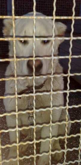 14032009143.jpg