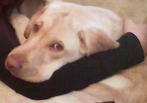 20081231_162816.jpg