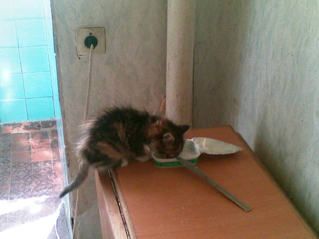 29042009.jpg