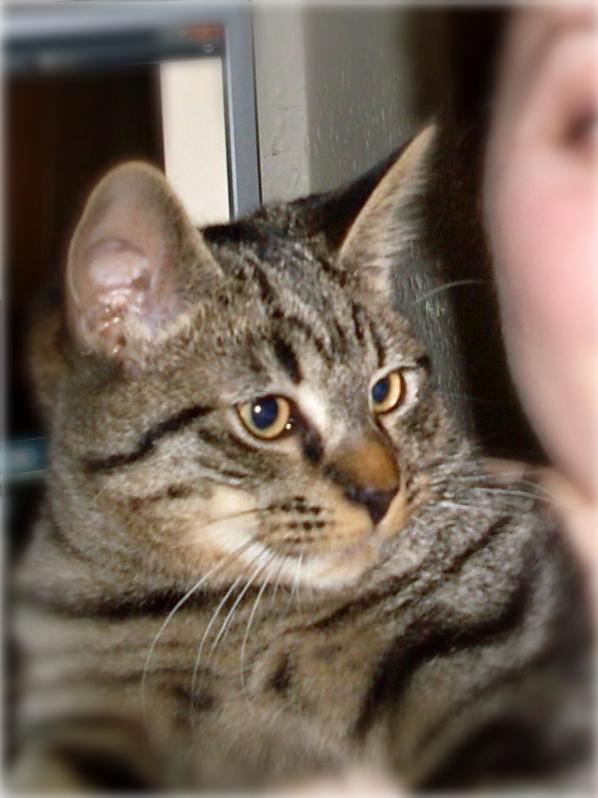 tigger_blurry.jpg