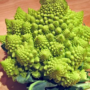cauliflower_romanesco_organic.jpg