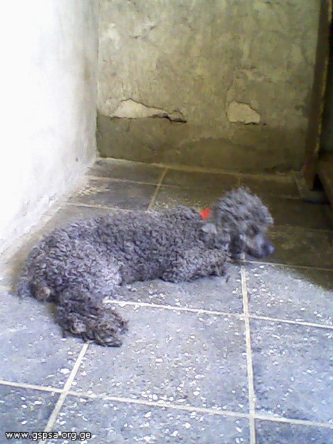 19079b2ff6e3.jpg