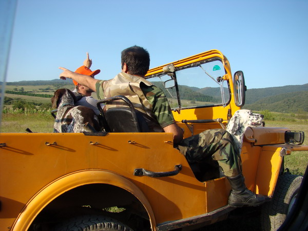 DSC07824.jpg