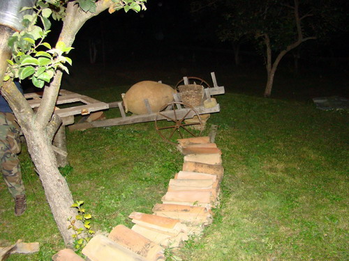 DSC07886.jpg
